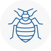 Bed Bug Extermination In Glossop